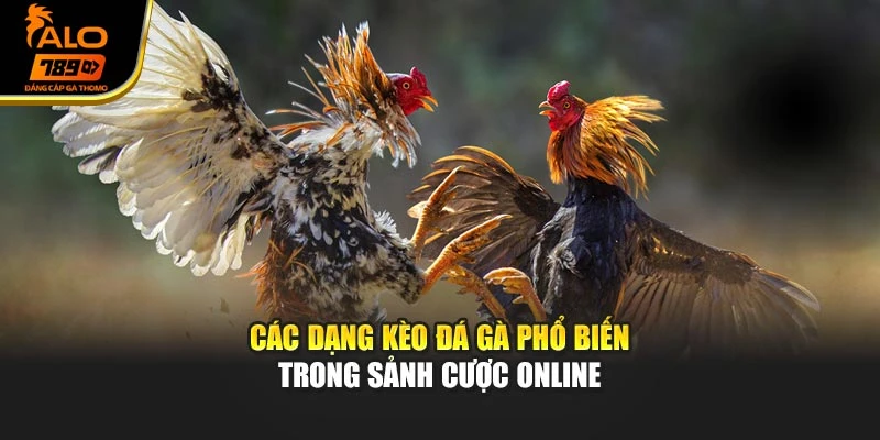 Các dạng kèo đá gà phổ biến trong sảnh cược online