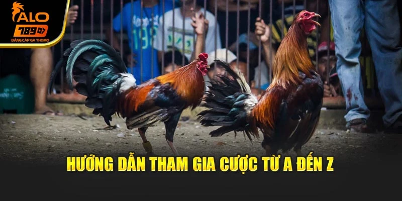 Hướng dẫn tham gia cược từ A đến Z